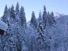 P1010005-2.jpg