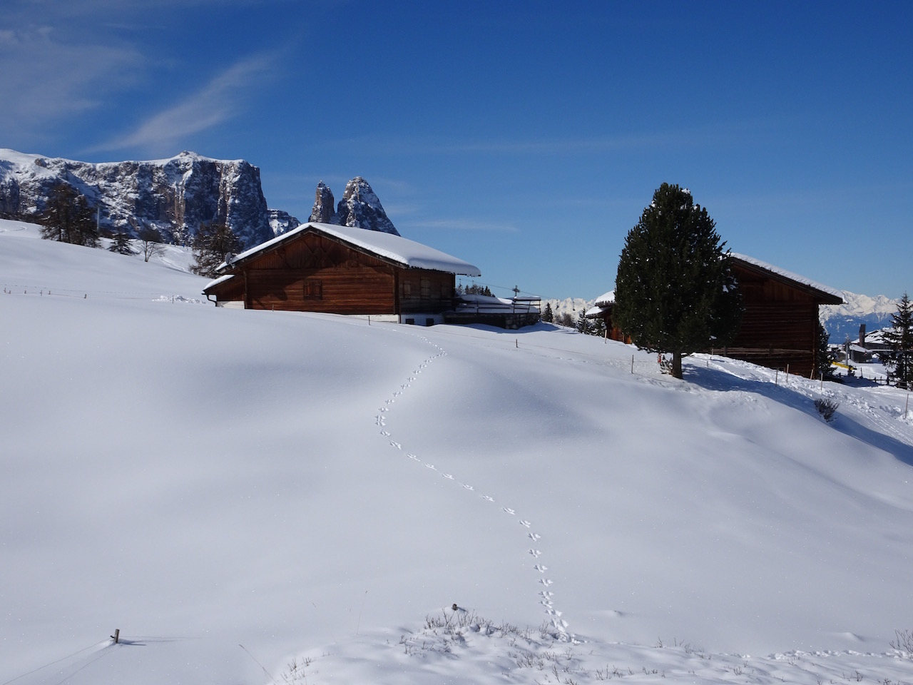 Bild "Wanderungen im Winter:DSC00307_Kopie.jpg"